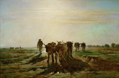 Boeufs se rendant au travail - vee loopt naar het werk, 
