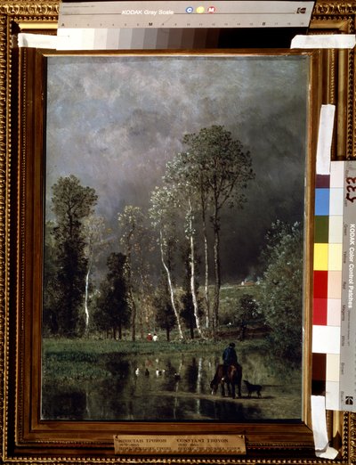 De voortgang van de storm door Constant Emile Troyon