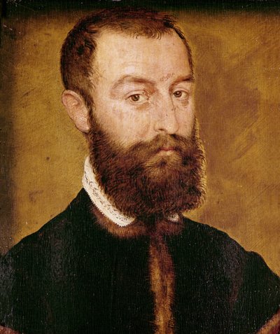 Portret van een Man met een Baard of, Portret van een Man met Bruin Haar door Corneille de Lyon
