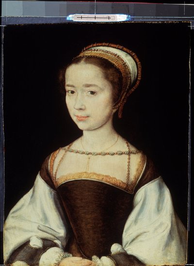 Portret van een jonge vrouw door Corneille de la  Haye