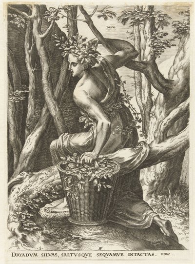 Dryas (Godinnen en nimfen) door Cornelis Cort