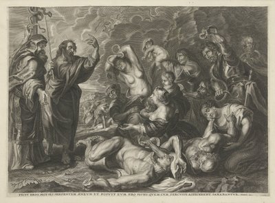 De koperen slang door Cornelis Galle (I)