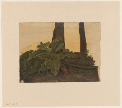 Planten aan de voet van een boomstam door Cornelis Johannes de Vogel