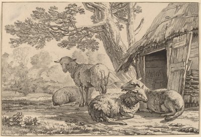 Schapenkooi door Cornelis Ploos van Amstel