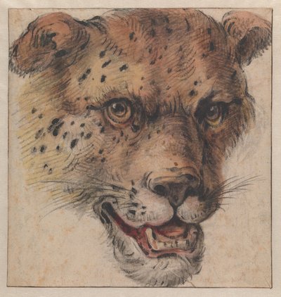 De kop van een luipaard door Cornelis Saftleven
