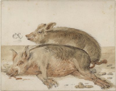 Twee varkens door Cornelis Saftleven