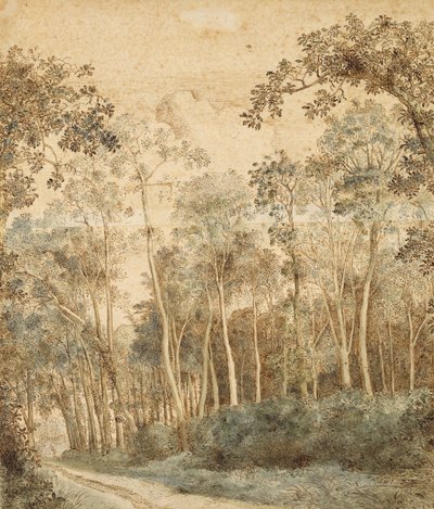 Bosrijk landschap door Hendrick Cornelisz. Vroom