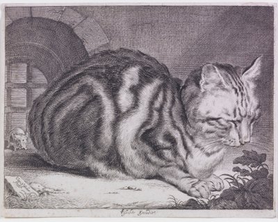 De Grote Kat door Cornelis de Visscher