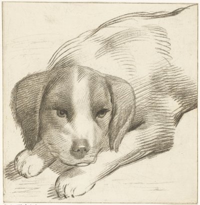Liggende hond door Cornelis van Noorde