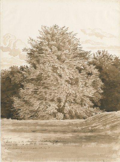 Wrottesley Hall - De Struikgewassen door Cornelius Varley