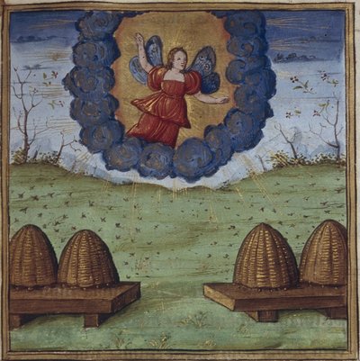 Illustratie voor de Georgica van Vergilius, 1450-1499 door Coëtivy Master