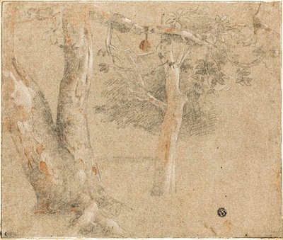Schetsen van bomen door Cristofano Allori