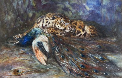 Jaguar met pauw door Cuthbert Edmund Swan