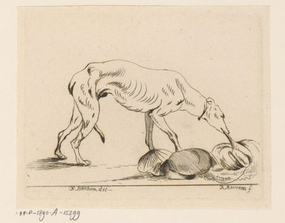 Etende hond door D. Merrem