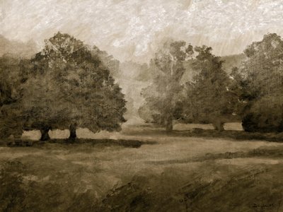 Kasteelpark door Dan Hobday