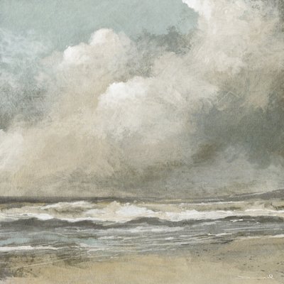 Misty Beach door Dan Hobday