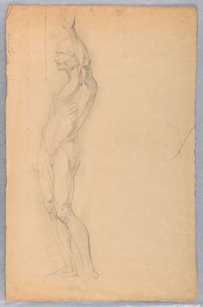Tekening, Anatomische studie van een man, ca. 1850 door Daniel Huntington