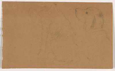 Tekening, Dash (een Setter), hoofd en lichaam, ca. 1862 door Daniel Huntington