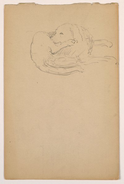 Tekening, Dash (een setter), ca. 1862 door Daniel Huntington