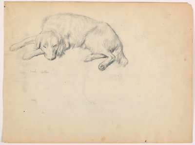 Tekening, Dash (een setter), ca. 1862 door Daniel Huntington