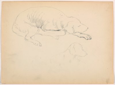 Tekening, Milo (een Pointer), Twee studies, ca. 1862 door Daniel Huntington