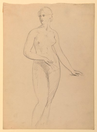 Tekening, mevrouw Henry Schieffelin, S, 1881 door Daniel Huntington