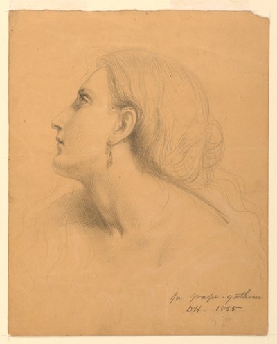 Tekening, Studie voor "Druivenverzamelaars", juli 1855 door Daniel Huntington