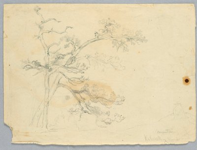 Studie van twee pijnbomen, Catskill Mountains door Daniel Huntington