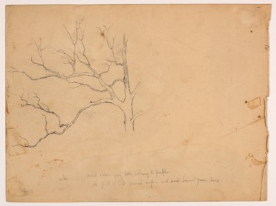 Studie van een dode eik door Daniel Huntington