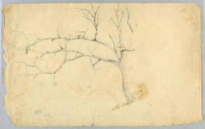 Studie van een Bladloze Boom door Daniel Huntington
