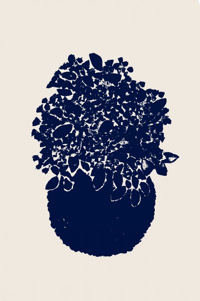 Samenvatting: De indigo-plant door Danushka Abeygoda