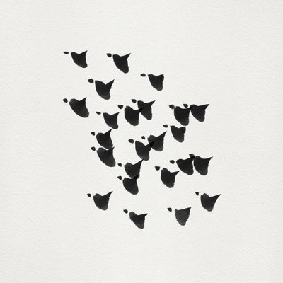 Minimalistische vogels in vlucht door Danushka Abeygoda