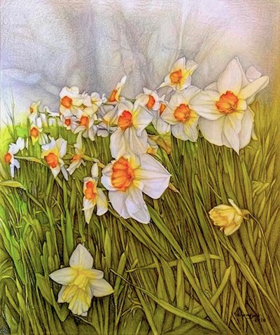 Dansende narcissen, 2020 door Darrell Windjack