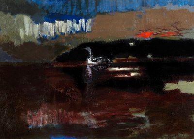 Zwartkeelduiker door David Alan Redpath Michie