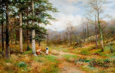 Op The Long Mynd, Church Stretton, 1907 door David Bates