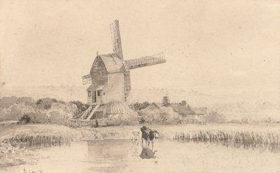 Vee dat Drinkt bij een Windmolen op Dulwich Common, 1811 door David Cox