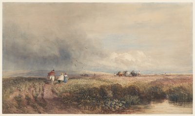 door David Cox