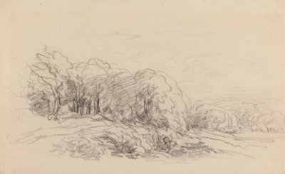 Landschap met bomen door David Cox