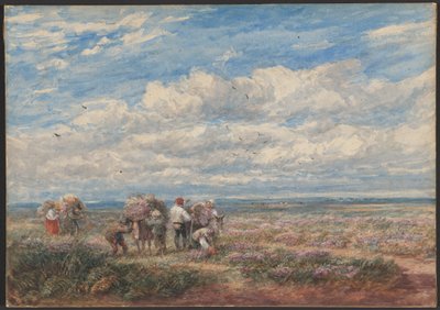 door David Cox