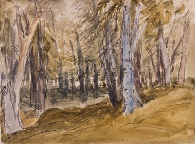 Bomen op Box Hill door David Cox