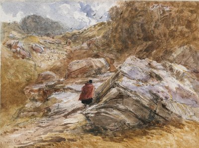Bergpas bij Bettws-y-Coed door David Cox the elder