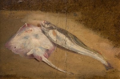 Studie van vis - Rog en Kabeljauw door David Cox the elder