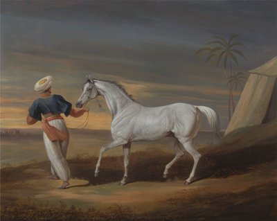 Signal, een grijze Arabier, met een stalknecht in de woestijn door David Dalby of York