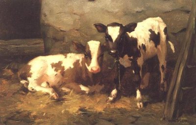 Kalfjes in een Schuur door David Gauld