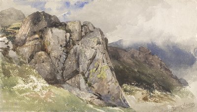 Bergrotsen door David Hall McKewan