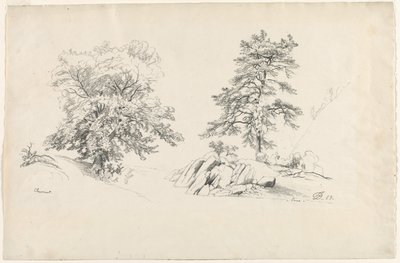 Kastanje en Pijnboom, 1869 door David Johnson