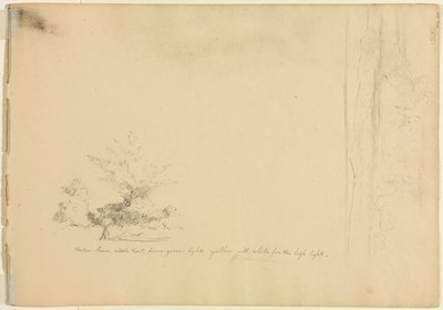 Landschaps- en boomstudies (verso) door David Johnson