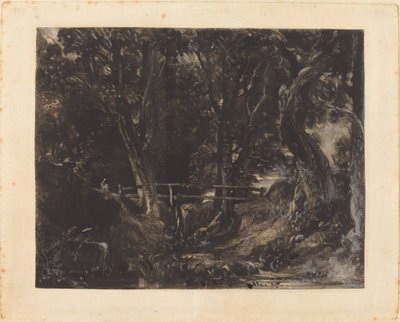 Een Dal in Helmingham Park, Suffolk door David Lucas after John Constable