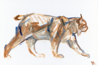 Lynx, 2022 door David Mayer
