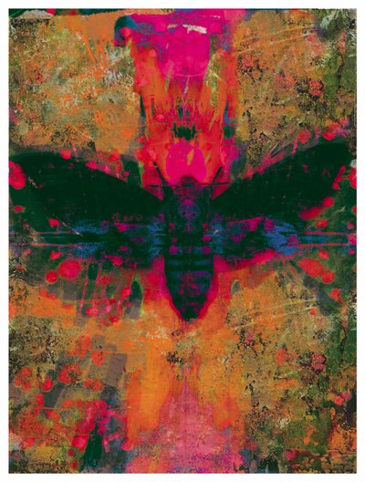 Doodshoofdvlinder Collage, 2016 door David McConochie